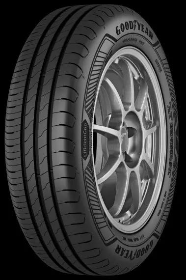 Goodyear EfficientGrip Compact 2 195/65 15 91T