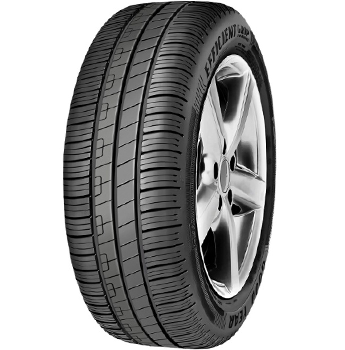 Goodyear EfficientGrip Performance 205/55 R16 91V FI
